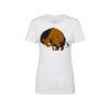 Womens Cotton Tee (Same Day) Thumbnail